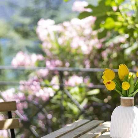 La Castignola Con Vista Di E Giardino Condiviso *
