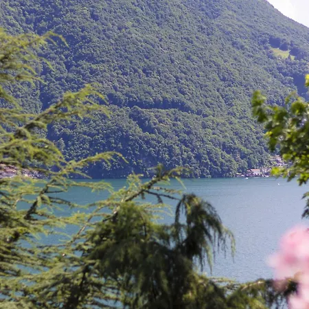 La Castignola Con Vista Di E Giardino Condiviso Lugano