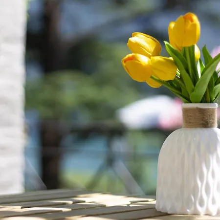 La Castignola Con Vista Di E Giardino Condiviso Apartamento *