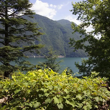 La Castignola Con Vista Di E Giardino Condiviso Lejlighed Lugano