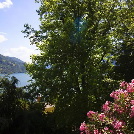 La Castignola Con Vista Di E Giardino Condiviso * Lugano