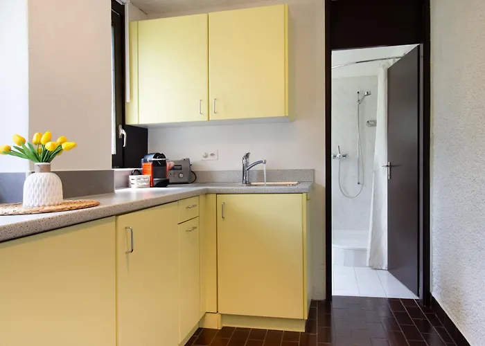 La Castignola Con Vista Di E Giardino Condiviso Διαμέρισμα Λουγκάνο