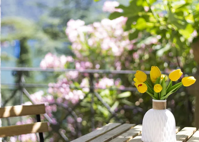 La Castignola Con Vista Di E Giardino Condiviso *