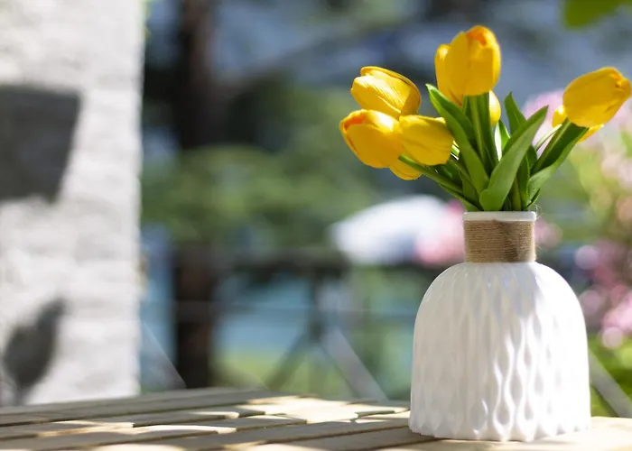 La Castignola Con Vista Di E Giardino Condiviso Διαμέρισμα *